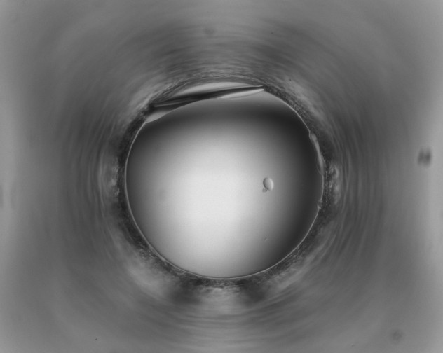 X0000091080548200708061339