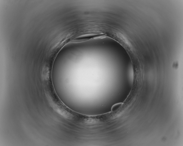 X0000091080549200708061339