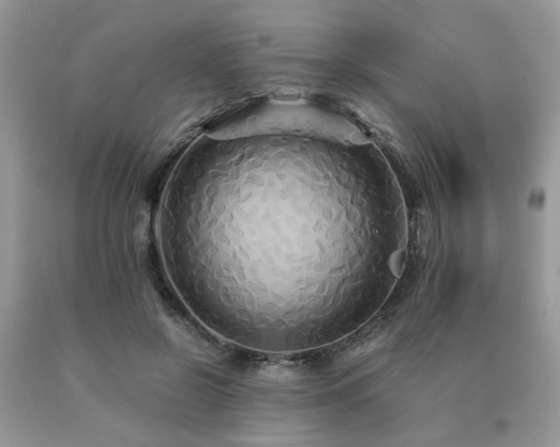 X0000091080550200708061339