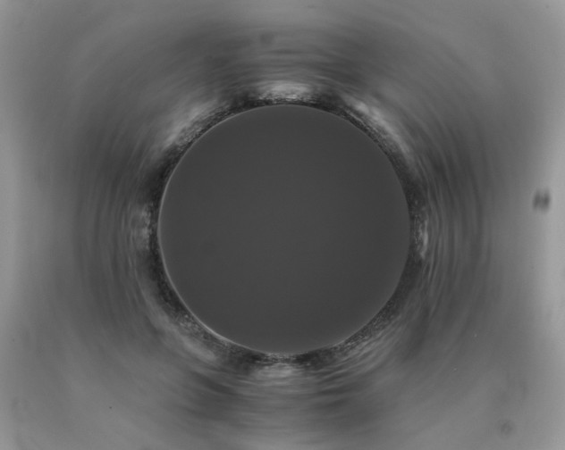 X0000091080551200708061339