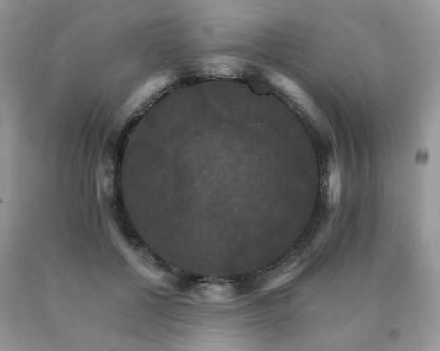 X0000091080552200708061339