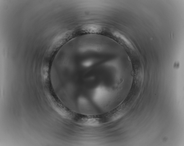 X0000091080553200708061339