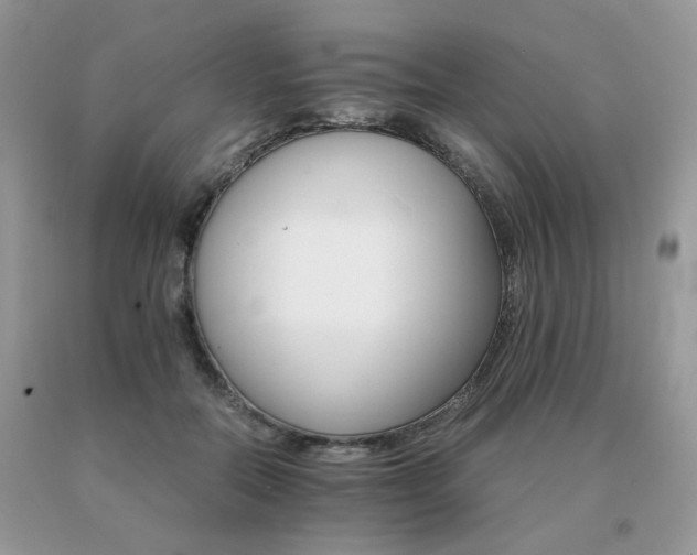 X0000091080554200708061339