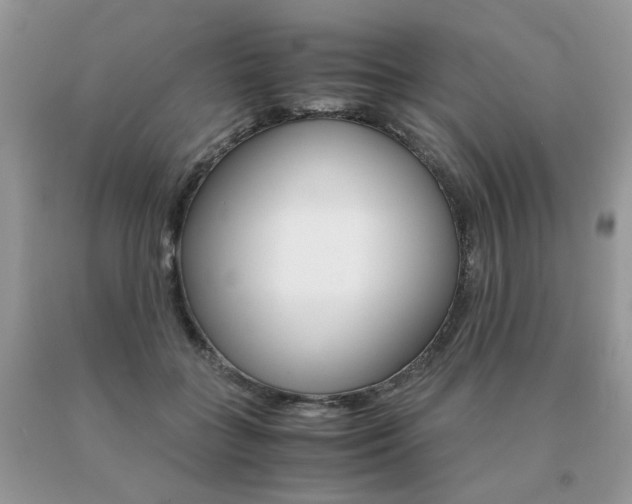 X0000091080555200708061339