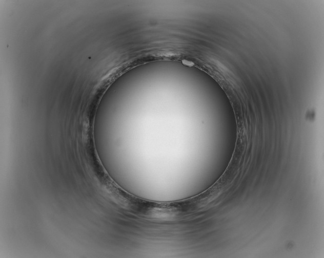 X0000091080556200708061339