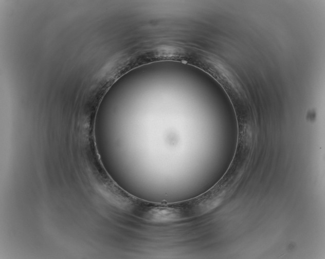 X0000091080557200708061339