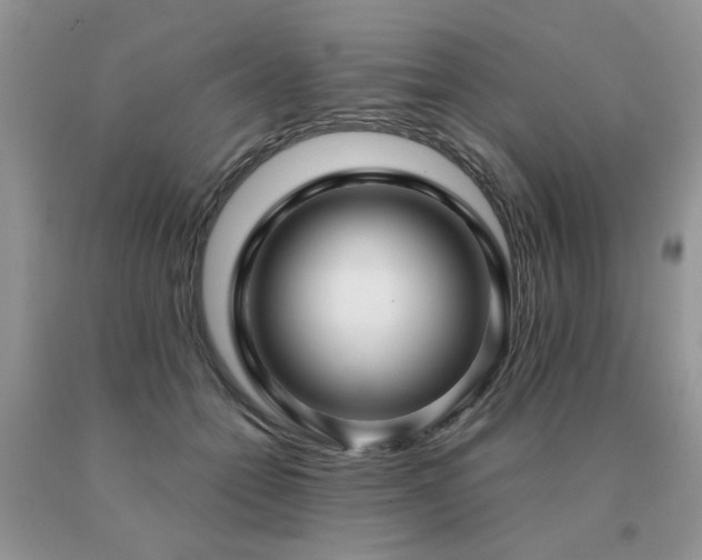 X0000091080558200708061339