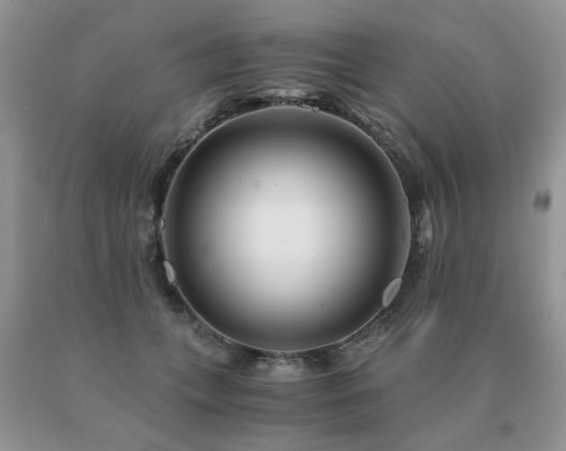 X0000091080559200708061339