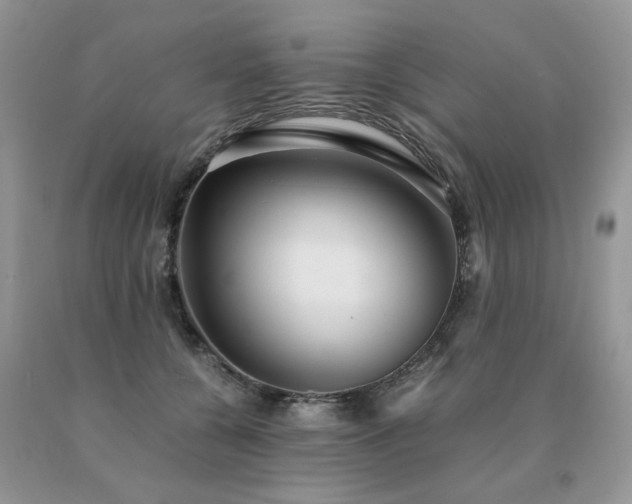 X0000091080560200708061339