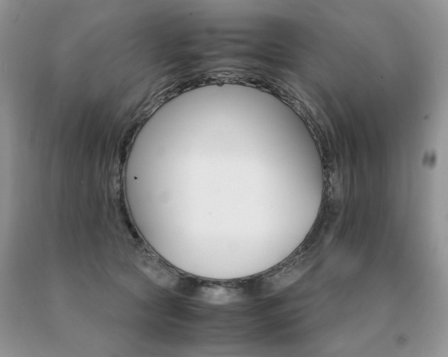 X0000091080561200708061339