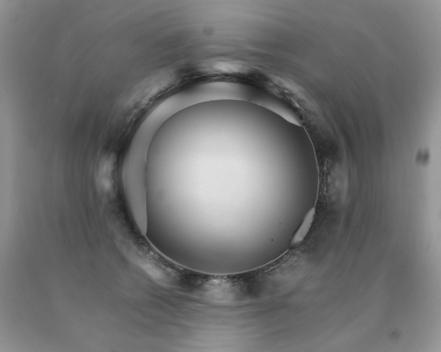 X0000091080562200708061339