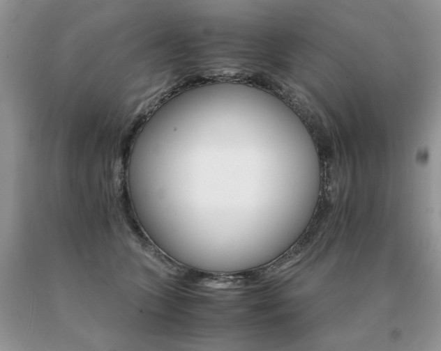 X0000091080563200708061339