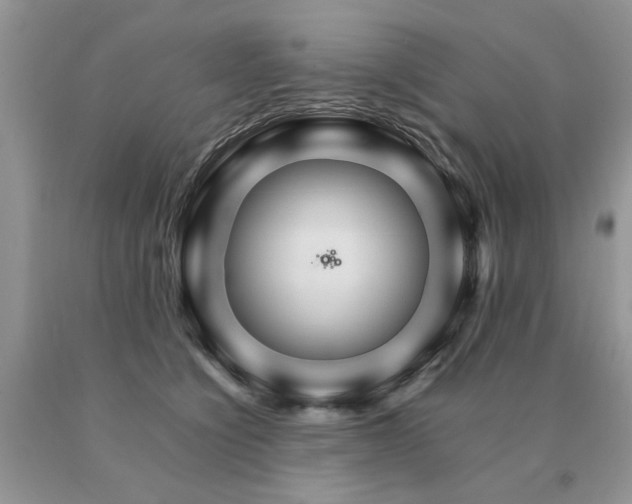 X0000091080564200708061339