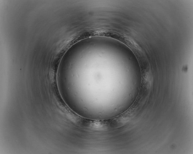 X0000091080565200708061339