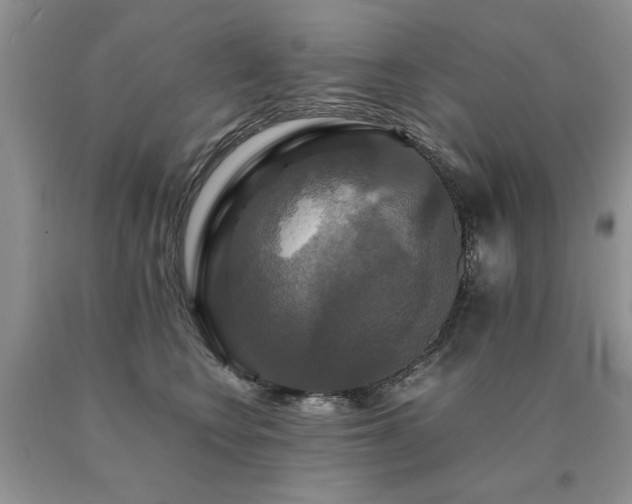 X0000091080566200708061339