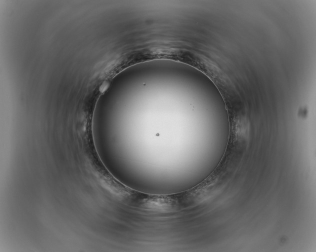 X0000091080567200708061339