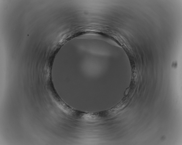 X0000091080568200708061339