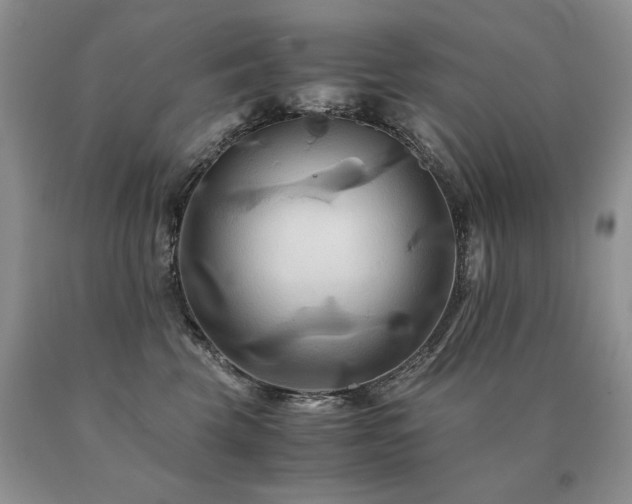 X0000091080569200708061339