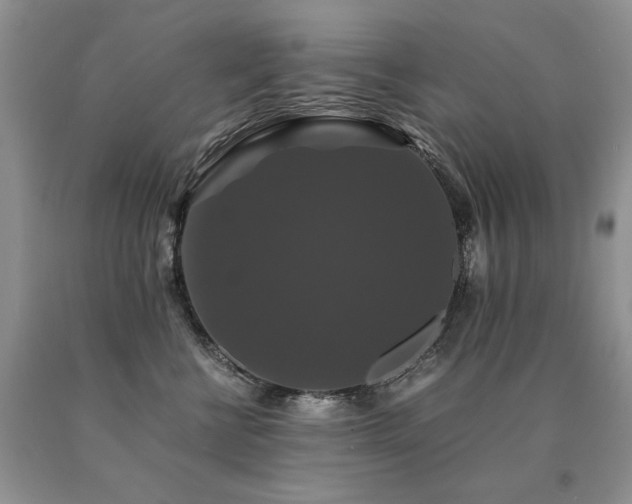 X0000091080570200708061339