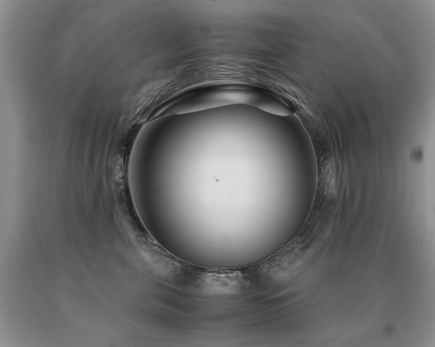 X0000091080571200708061339