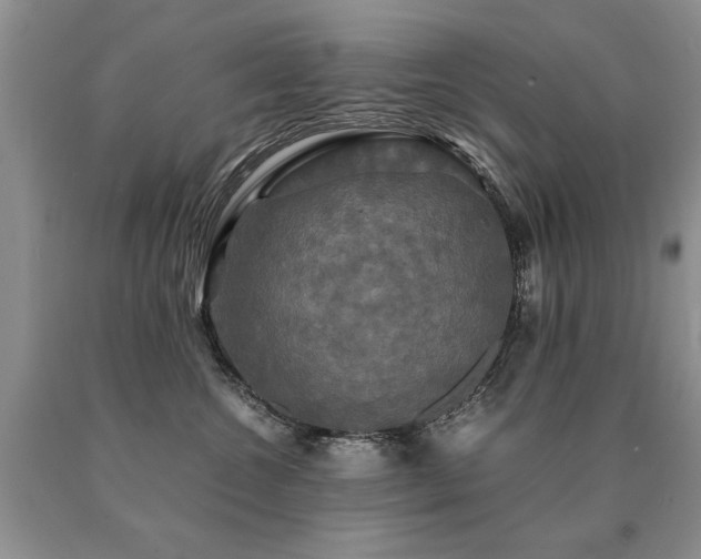 X0000091080572200708061339