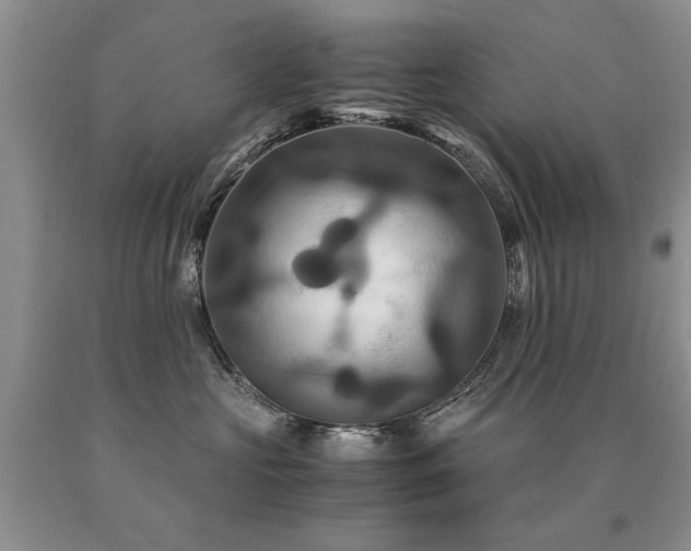 X0000091080573200708061339