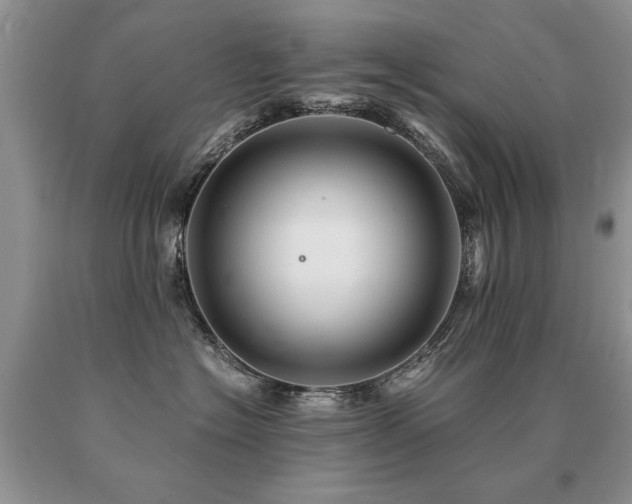 X0000091080574200708061339