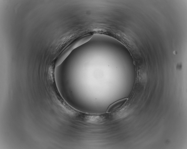 X0000091080575200708061339