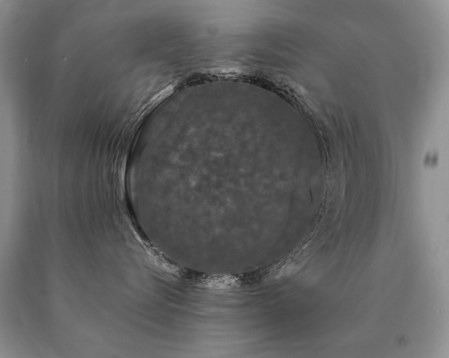 X0000091080576200708061339