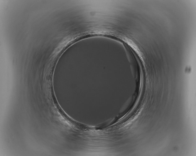 X0000091080577200708061339