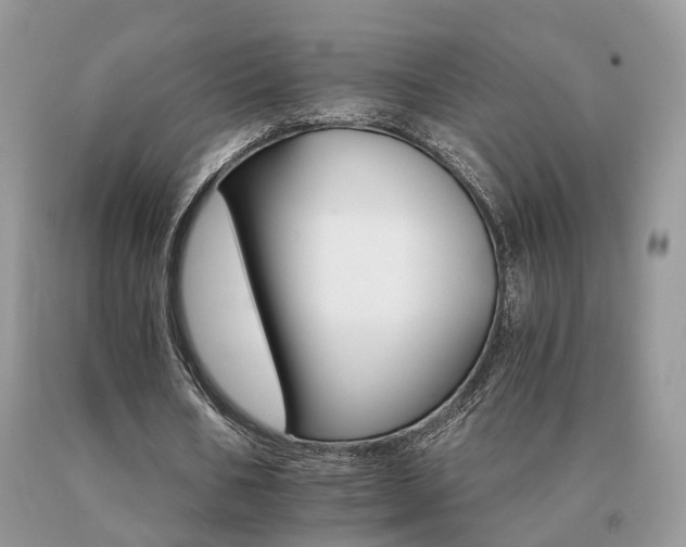 X0000091080578200708061338