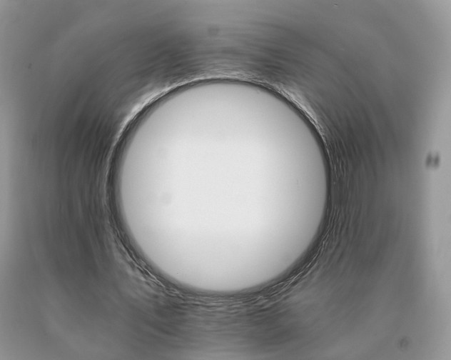 X0000091080579200708061338