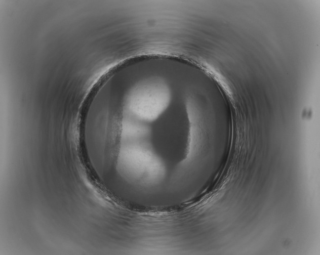 X0000091080580200708061338