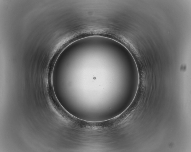 X0000091080582200708061338