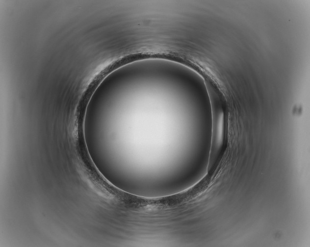 X0000091080584200708061338