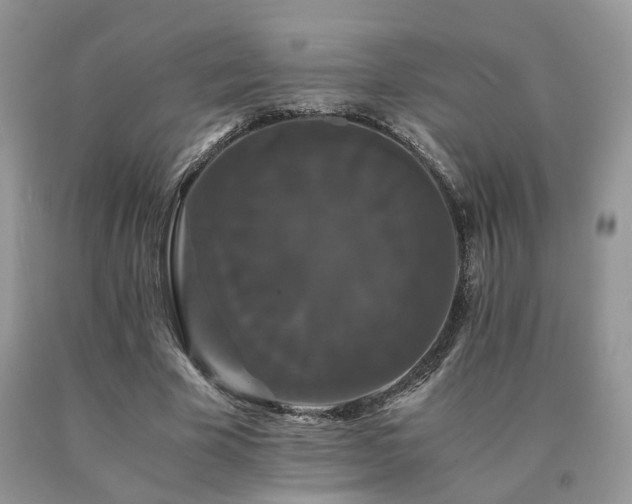 X0000091080585200708061338