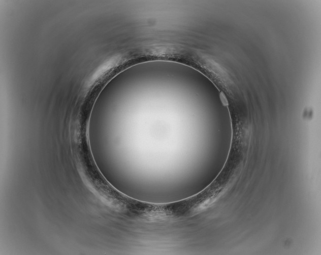 X0000091080587200708061338