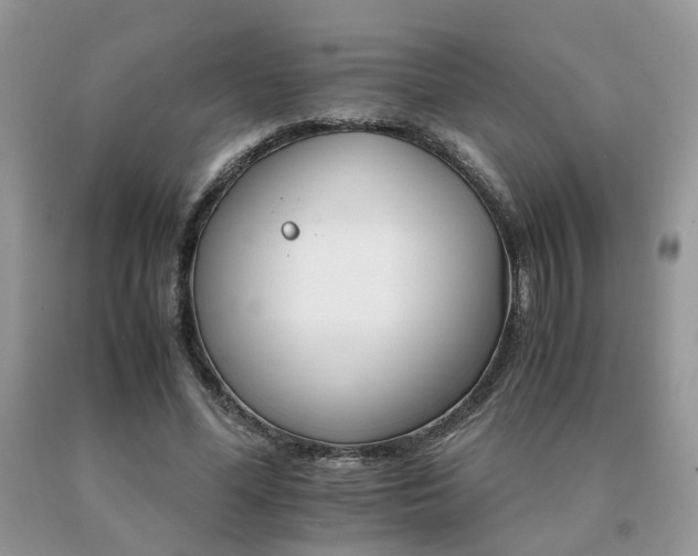 X0000091080588200708061338