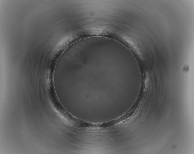 X0000091080590200708061338