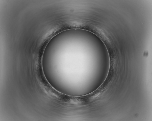 X0000091080591200708061338