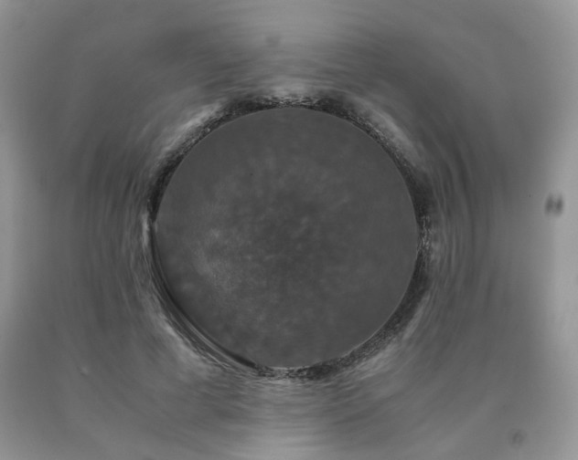 X0000091080593200708061338