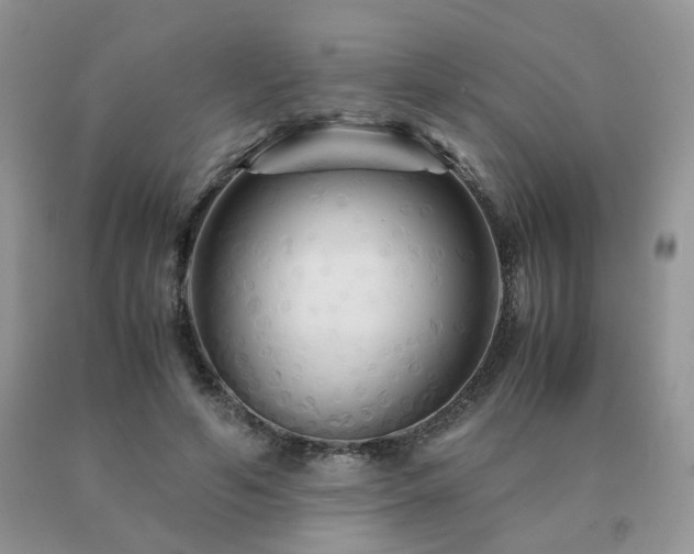 X0000091080594200708061338