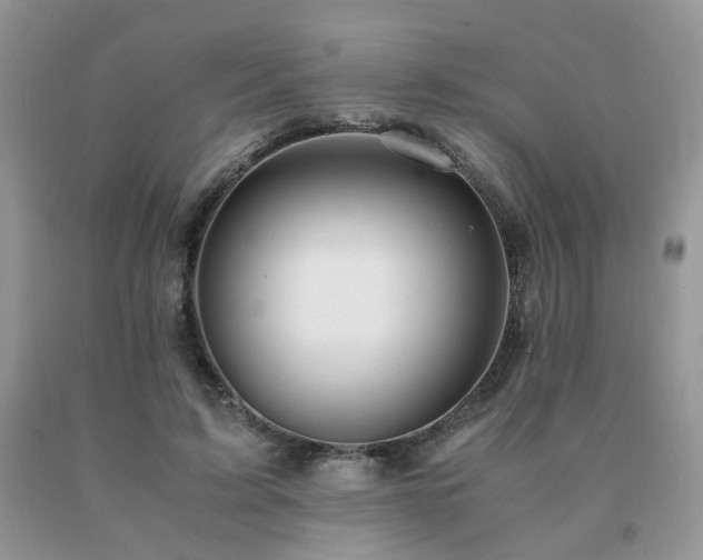 X0000091080595200708061338