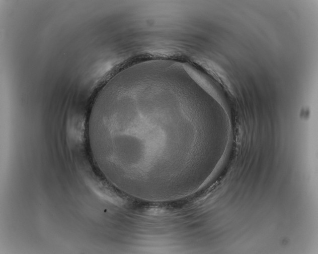 X0000091080596200708061338