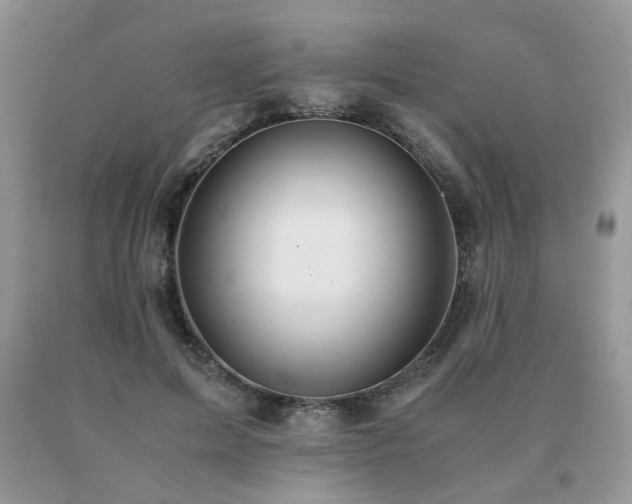 X0000091080599200708061338