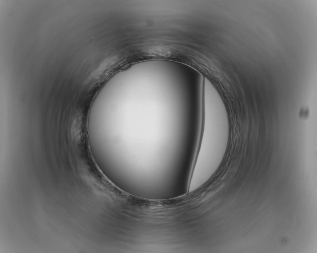 X0000091080600200708061338