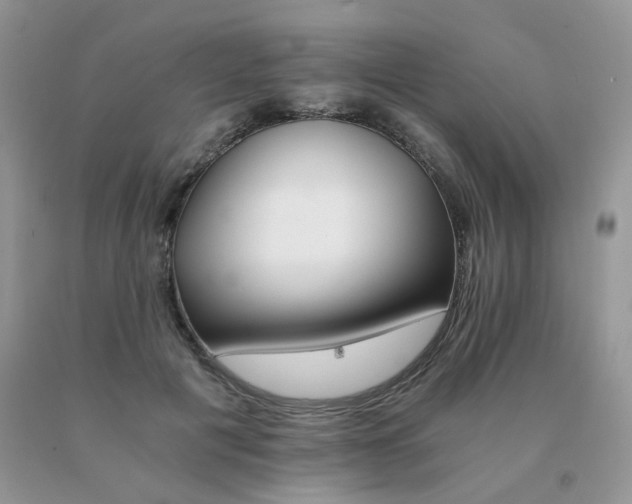 X0000091080601200708061338