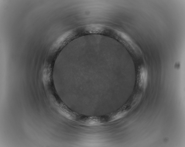 X0000091080604200708061338