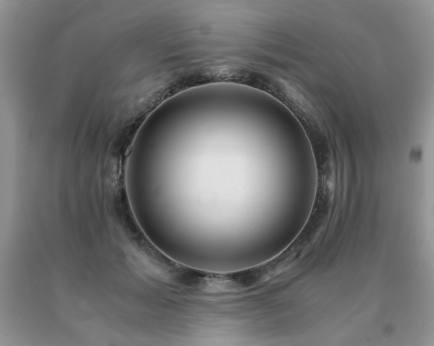 X0000091080605200708061338