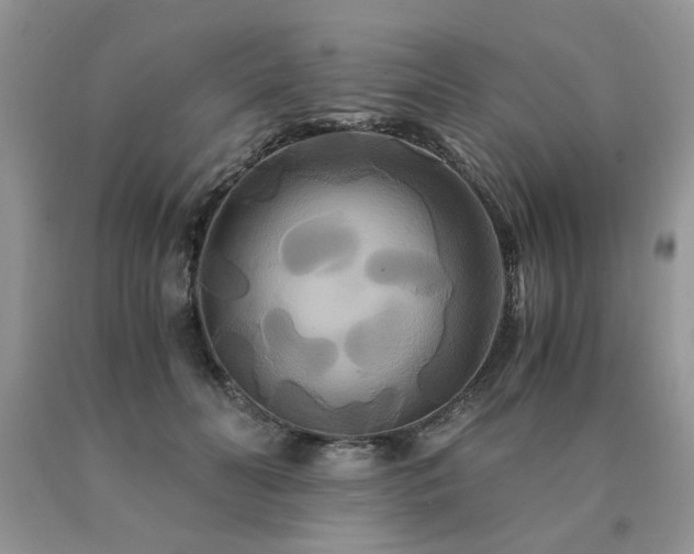 X0000091080606200708061338